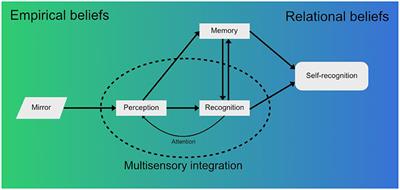 Multisensory integration and belief in the self
